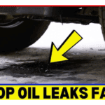 car leaking oil