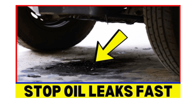 car leaking oil